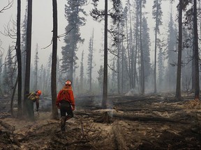 Fire crews assess and fall danger trees in the southwest section of the Verdant Creek wildfire near Highway 93S in a handout photo from Parks Canada. A wildfire burning near the Alberta-British Columbia boundary continues to threaten a key highway linking the two provinces. THE CANADIAN PRESS/HO-Parks Canada-M.Kinley