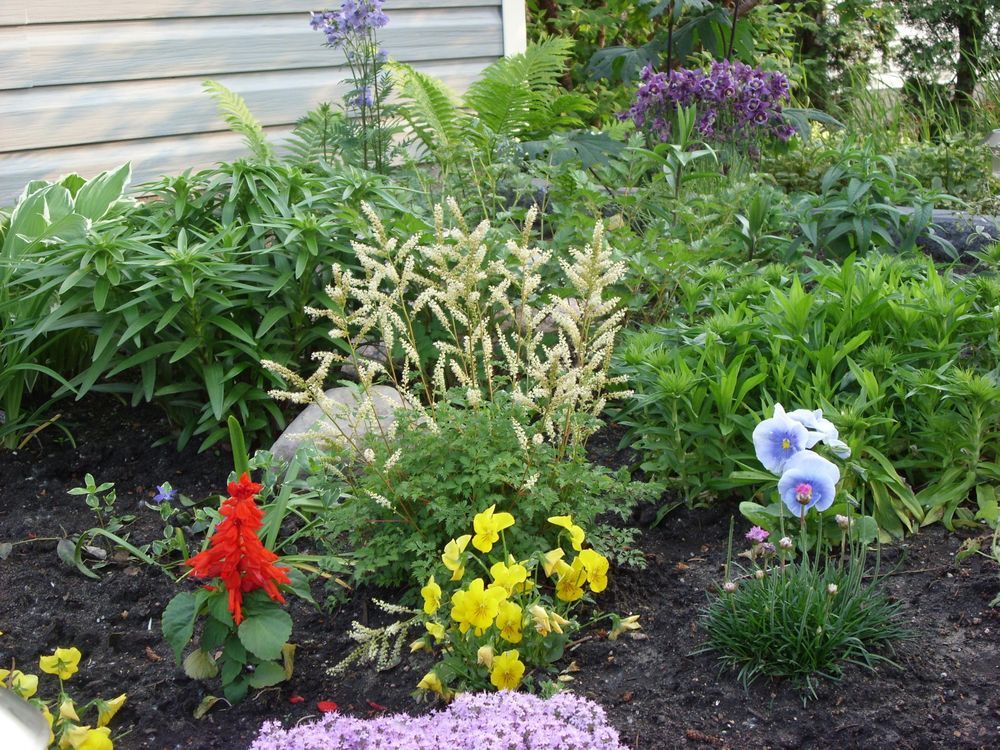 Growing Things Show moss who's boss by bolstering soil and drainage