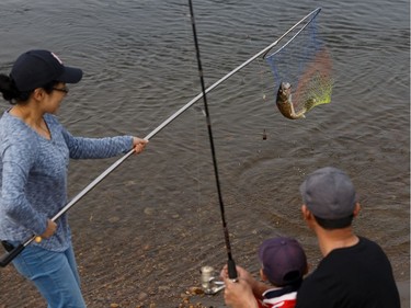 Edmontonian Wayne Wang catches a walleye with his son George, 4, and wife Hui at his side as a wildfire evacuation alert continues in the town of Slave Lake, on Saturday, June 1, 2019. The family came to town to fish from the city.