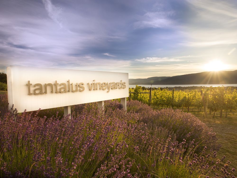 Tantalus winery clearance