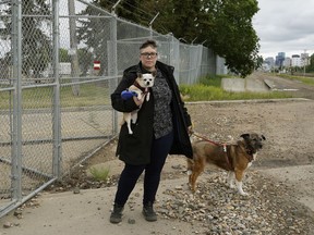 This fence blocks Jessica Cooreman's otherwise pleasant route between her house and Borden Park. Why is it here? That's a puzzle. There are LRT tracks, but also crossing guards so why not make a cut-through and improve mobility?