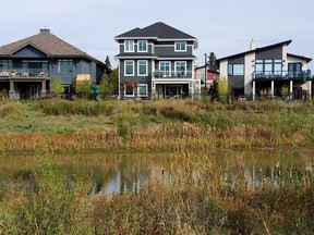 In Edmonton, naturalized storm water ponds, like Larch Pond here, filter the water from a storm event through naturalized materials — mud, sand and indigenous grasses. It creates a nature-filled amenity space for residents and attracts abundant wildlife and birds, while efficiently filtering and cleaning storm water.