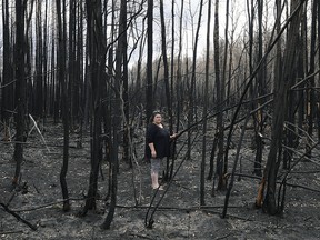 Paddle Prairie Metis Settlement resident Wilma Cardinal examines some trees on the settlement destroyed by wildfire on Wednesday June 19, 2019. A wildfire destroyed at least fifteen homes on the settlement, located 80 kilometres south of High Level, Alberta. All residents of the largest Metis settlement in Alberta have been evacuated but are expected to return this week.  Wildfires in northern Alberta are still burning out of control. (PHOTO BY LARRY WONG/POSTMEDIA)