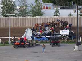 Horses down on Evan Salmond's rig in Heat 8 at the Rangeland Derby chuckwagon races at the Calgary Stampede in Calgary, Ab., on Sunday, July 14, 2019. Mike Drew/Postmedia
