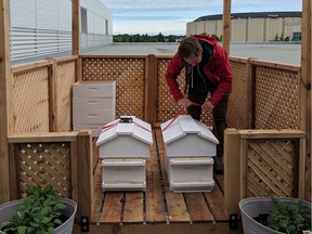 As a newly licensed City of Edmonton urban beekeeping facility, the Edmonton Expo Centre now hosts two hives of honeybees on its roof.