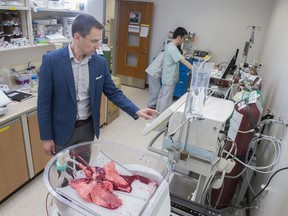 Dr. Darren Freed with a prototype ex vivo organ perfusion machine that was keeping swine lungs viable. The goal is to develop a better method to transport organs between donor and recipient on July 23, 2019. Photo by Shaughn Butts / Postmedia