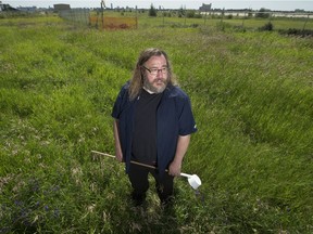 Alberta's most common nuisance mosquito species has a population that's closely linked to rainfall, while the development of the mosquito species that carries West Nile is closely linked to heat, said Mike Jenkins, biological sciences technician for the City of Edmonton, on Monday, July 22, 2019.