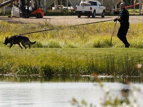 Cpl. Mike Drenka and PSD Roy demonstrate how they work as a team during a search at an Alberta RCMP demonstration of Police Dog Services in Stony Plain outside of Edmonton, on Wednesday, Aug. 21, 2019. Photo by Ian Kucerak/Postmedia