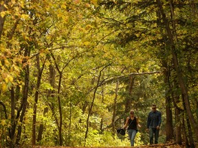 A couple talk and walk on a warm, fall-like day in Mill Creek Ravine in Edmonton, on Monday, Sept. 16, 2019.