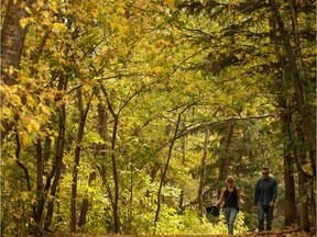 A couple talk and walk on a warm, fall-like day in Mill Creek Ravine in Edmonton, on Monday, Sept. 16, 2019. Photo by Ian Kucerak/Postmedia