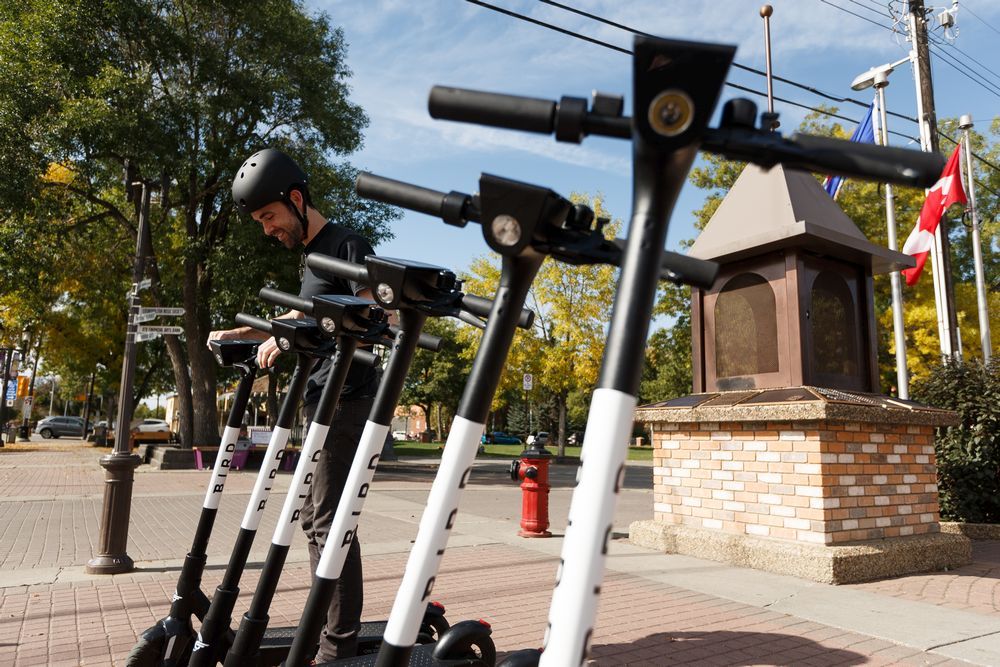 Snowfall ends escooter season for both Bird and Lime Edmonton Journal