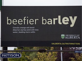 A University of Alberta billboard that suggests that climate change could result in a beefier barley yields, along 178 Street near 100 Avenue, in Edmonton Monday Sept. 30, 2019. University of Alberta vice-president Jacqui Tam has resigned her post over the billboard. Photo by David Bloom
