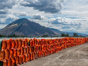 Steel pipe to be used in the oil pipeline construction of the Trans Mountain Expansion Project lies at a stockpile site in Kamloops, British Columbia.