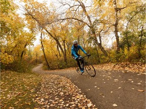 A cyclist rides through the river valley along a path covered in fall leaves near McNally School in Edmonton, on Monday, Sept. 30, 2019.