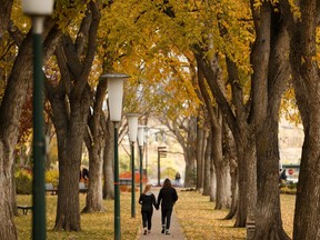 A couple walk hand in hand through an Alberta Legislature grounds covered in fall leaves in Edmonton, on Wednesday, Oct. 9, 2019.