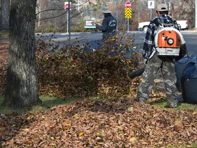 Using a leaf blower, a worker blows the buildup of leaves into a pile along 116 Street near 93 Avenue in Edmonton, October 22, 2019.