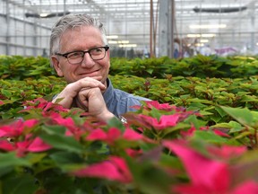 Jim Hole surrounded by poinsettias, announced Monday at the Enjoy Centre, that the Hole's Greenhouses have been sold after being in business for more than 68 years in St. Albert, October 28, 2019.