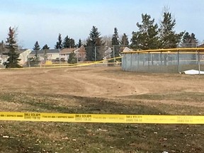 Police including a canine team are investigating after a body was discovered Sunday morning in Callingwood Park. Jonny Wakefield/Postmedia