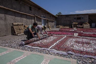 The rugs are sun-dried for 60 days. This causes the fat from the wool to rise to the top, giving the rug a natural sheen. It also softens the colour in the rug.
