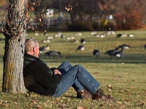 Lean on me...a man relaxes up against a tree watching the geese grazing at Hawrelak Park in Edmonton, October 20, 2019. Ed Kaiser/Postmedia