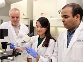 RJH Biosciences, a University of Alberta spin-off company that specializes in health and biotech, received a $100,000 grant from the Bill and Melinda Gates Foundation. The money will be used to develop a new device to do immunotherapy.