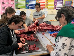 Around 25 Aurora Middle School's outdoor education program took part in butchering a deer in October. Photos posted online received a lot of attention with most feeling positive about what the students were learning.