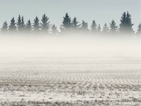 Fog blankets farmland near Bon Accord outside of Edmonton, on Wednesday, Nov. 20, 2019.