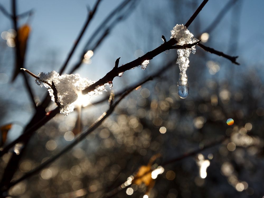 edmonton-weather-the-opposite-of-warmth-cometh-edmonton-journal