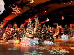 The Festival of Trees, which runs Nov. 28 to Dec. 1 at the Edmonton Convention Centre, is a story of passion and compassion in our city.