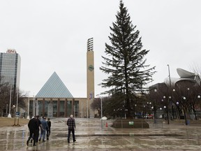 The city's Christmas Tree was set up over right in Churchill Square, in Edmonton Friday Nov. 8, 2019.