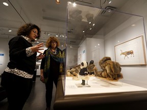 Nadia Kurd (left) and Frannie Blondheim of the University of Alberta's Museums look over art pieces in A Collector's Eye: The Halvarson Gift of Inuit Art.