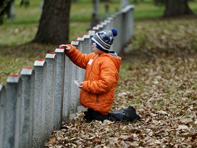 Coltir Bucci, seven, places a poppy on a war veteran's headstone on Monday, Nov. 4, 2019. More than 700 students from Edmonton area schools attended the ninth annual No Stone Left Alone remembrance ceremony at Beechmount Cemetery in Edmonton. The annual commemoration ceremony is held every November to honour the sacrifice and service of Canada's military by students and placing poppies on the headstones of war veterans.