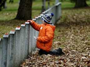 File: Coltir Bucci (7-years-old) places a poppy on a war veteran's headstone on Monday November 4, 2019.