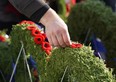 A man lays a poppy on a wreath during the Loyal Edmonton Regiment's (4 PPCLI) Remembrance Day ceremony at Edmonton City Hall on Monday November 11, 2019. (PHOTO BY LARRY WONG/POSTMEDIA)