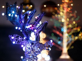 Families take in Christmas cheer during the first-ever Car-free Night at Candy Cane Lane in the Crestwood neighbourhood of Edmonton, on Thursday, Dec. 12, 2019. The event, which is over 50 years old, is a fundraiser for Edmonton's Food Bank.