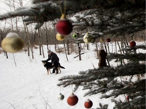 A woman walks her dog past a tree that has been adorned with Christmas decorations in Buena Vista Park, in Edmonton Friday Dec. 13, 2019.