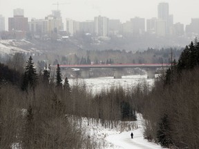 The Edmonton skyline is visible through the falling snow as a lone pedestrian walks through McKinnon Ravine Park, in Edmonton Friday Nov. 29, 2019.