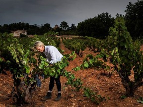 Nathalie Bonhomme in a Monastrell vineyard.