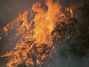 In this image made from video, an aerial scene shows fires burning in Bundoora, Victoria state, Monday, Dec. 30, 2019. (Australian Broadcasting Corporation, Channel 7, Channel 9 via AP) ORG XMIT: TKSJ803