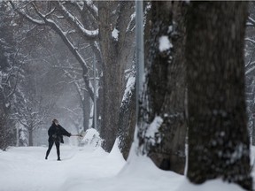 A woman shovels snow near 108 Street and 83 Avenue, in Edmonton Wednesday Jan. 22, 2020.