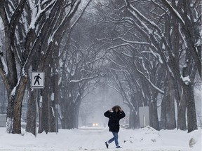 A pedestrian flashes the peace sign as they make their way through the falling snow near 108 Street and 83 Avenue, in Edmonton Wednesday Jan. 22, 2020. Environment Canada issued a snowfall warning for the city.