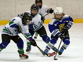 The Confederation Snipers (white) defeated the St. Albert Blades (blue) by a score of 4-1 in the Atom6 division final at Terwillegar Community Recreation Centre during the final day of the Quikcard Edmonton Minor Hockey Week. (PHOTO BY LARRY WONG/POSTMEDIA)