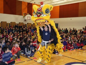 Lisa Wong, from Lillian Osborne High School, performs a lion dance as students and staff at Meyonohk School rang in the Lunar New Year with a special gathering to celebrate the new year with traditional Chinese dancing and singing on Friday January 24, 2020. The Year of the Rat began Saturday January 25, 2020. (PHOTO BY LARRY WONG/POSTMEDIA)
