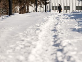 A student carries their groceries along a desire line in the snow near Foote Field at the University of Alberta in Edmonton, on Wednesday, Feb. 12, 2020. Photo by Ian Kucerak/Postmedia
