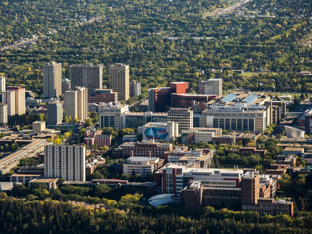 Province needs to address sexual violence on postsecondary campuses