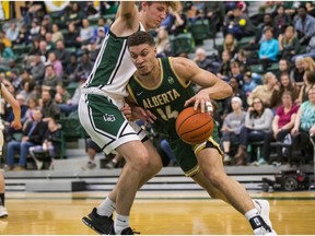 University of Alberta Golden Bears forward Brody Clarke takes on a University of Saskatchewan opponent on Feb. 8. 2020.