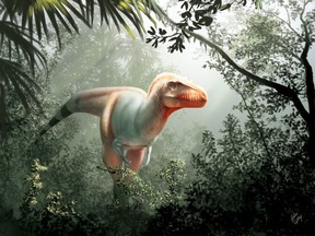 A handout photo made available on February 10, 2020 by the University of Calgary and Royal Tyrrell Museum shows an artist's impression of a Thanatotheristes degrootorum, a newly-discovered species of T-Rex. (Photo by Julius CSOTONYI / The University of Calgary and Royal Tyrrell Museum)