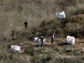 Personnel collect debris while working with investigators at the helicopter crash site of NBA star Kobe Bryant in Calabasas, California, January 28, 2020. (REUTERS/Patrick T. Fallon/File Photo)