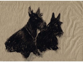 Two Scotties, charcoal on paper, by Dana Holst.