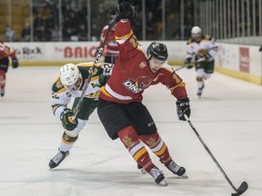 University of Alberta Golden Bears defenceman harrasses Mitch Cook of the University of Calgary Dinos at Clare Drake arena on Jan. 24, 2020.